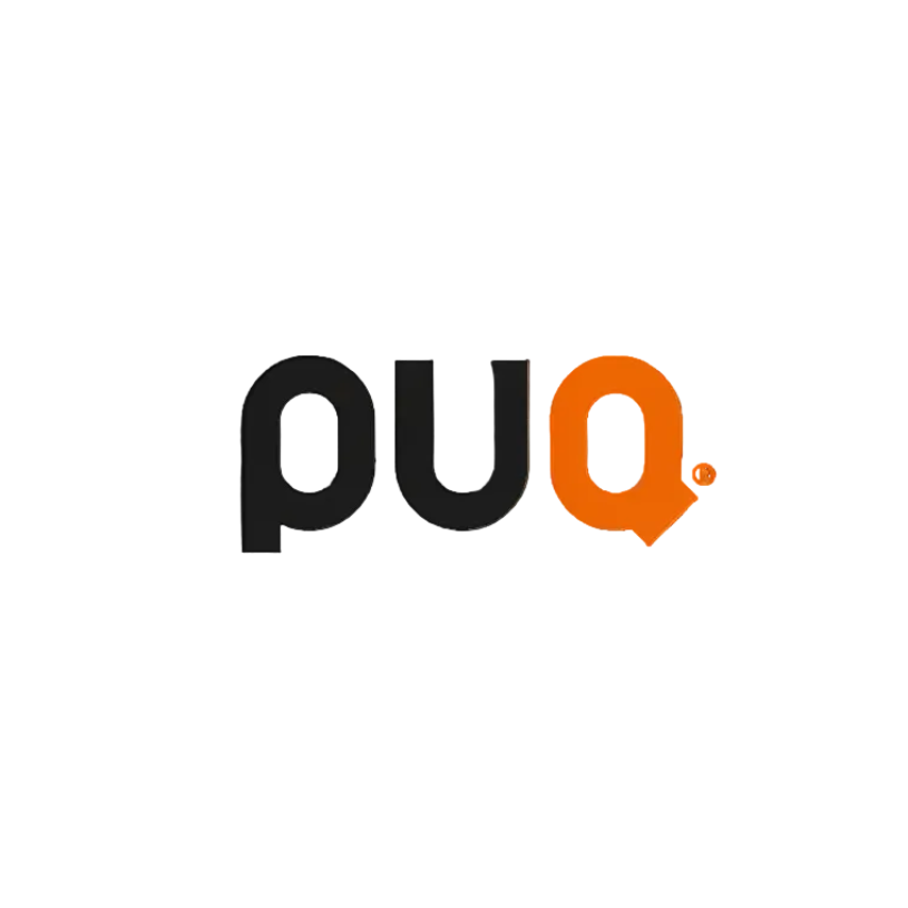 Logo with 'puo' in black and orange on a white background